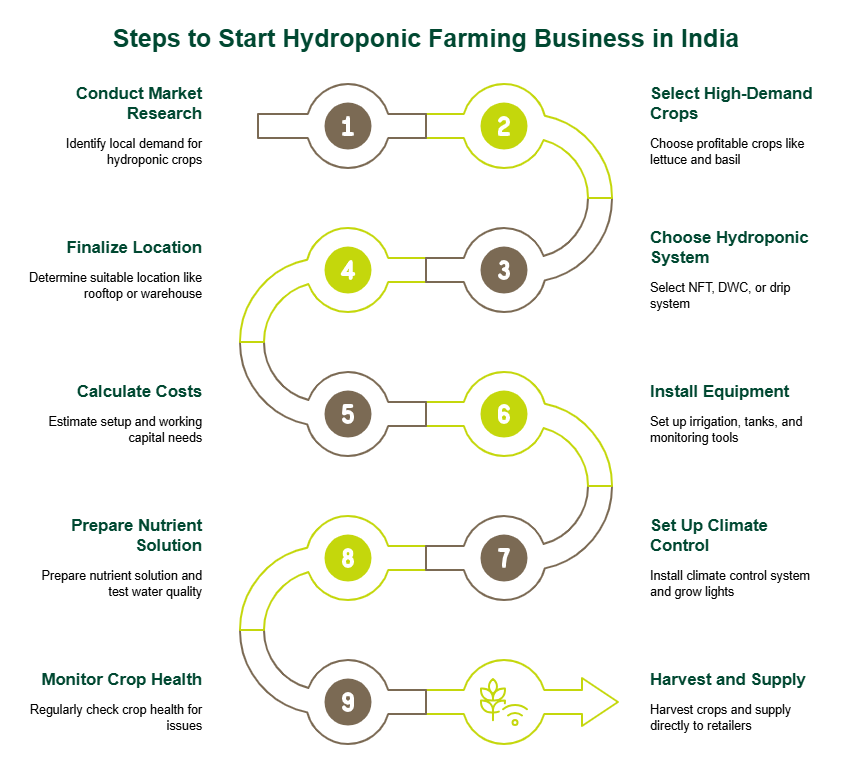 How to Start a Hydroponic Farming Business in India