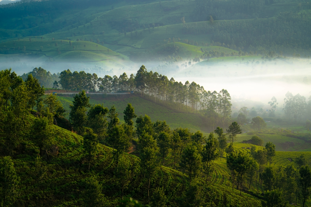 Top Places to Visit in India During the Monsoon Season - Plan with a Personal Loan