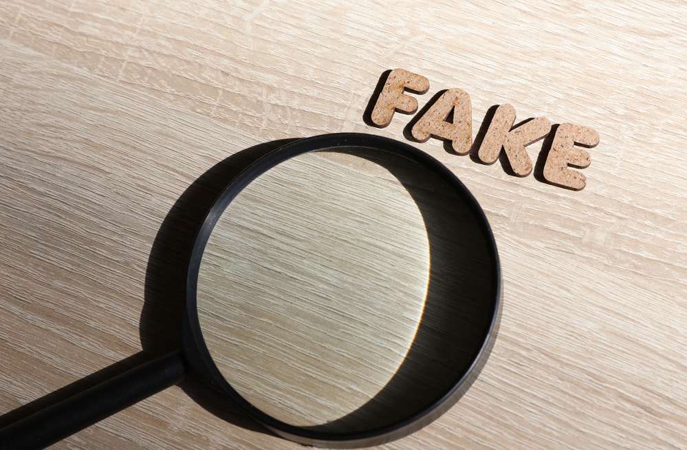 Fake Government Loan Schemes: How Fraudsters Trick Borrowers