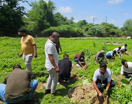 CSR Environment